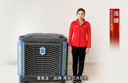 Lian Jie