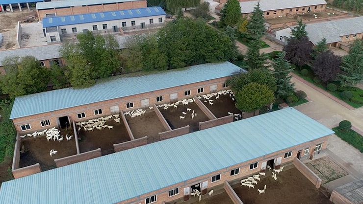 How to ventilate and cool down livestock farms?